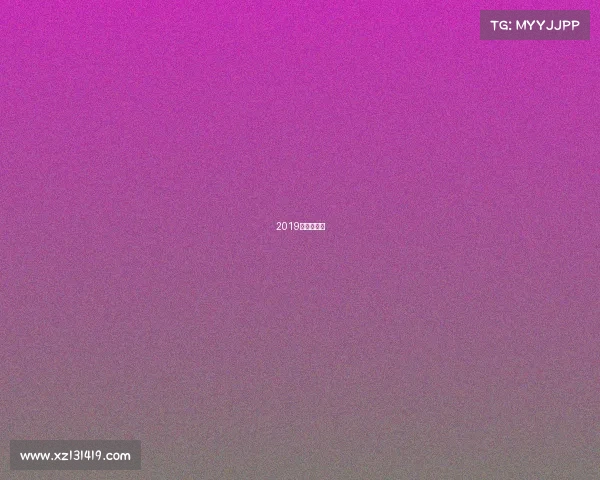 2019年女排赛事 2019年女排赛事